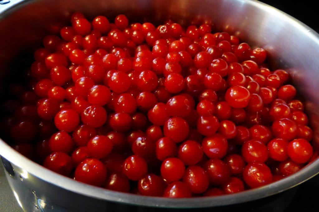 How to Make Nanking Cherry Jelly and what to do if it doesn't work the first time #nankingcherries #preserving #jellymaking #nankingcherryjelly #seasonal Nanking Cherries in a stainless steel bowl.