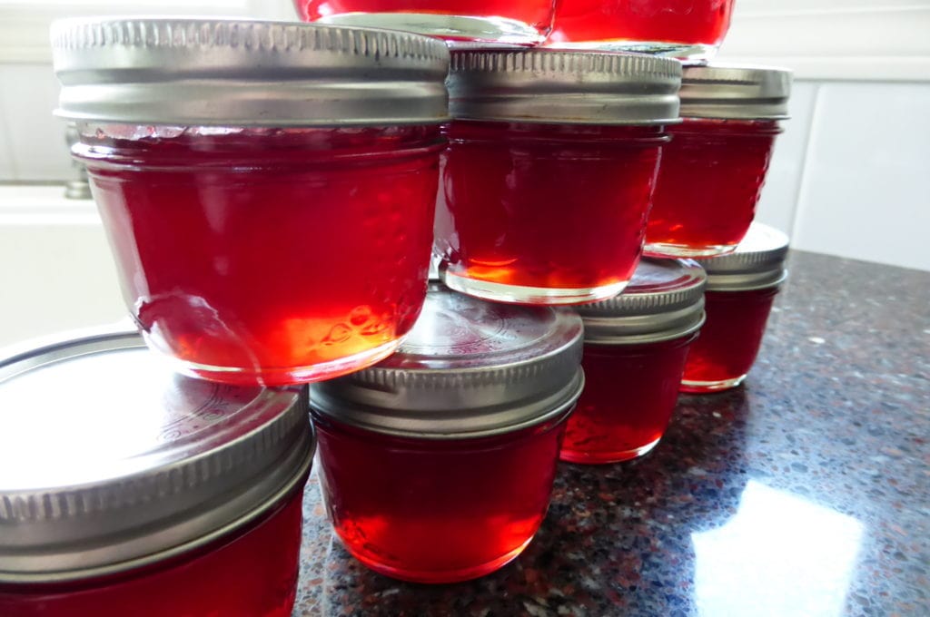 Brilliant red jars of Nanking Cherry Jelly all stacked up with the light coming through.