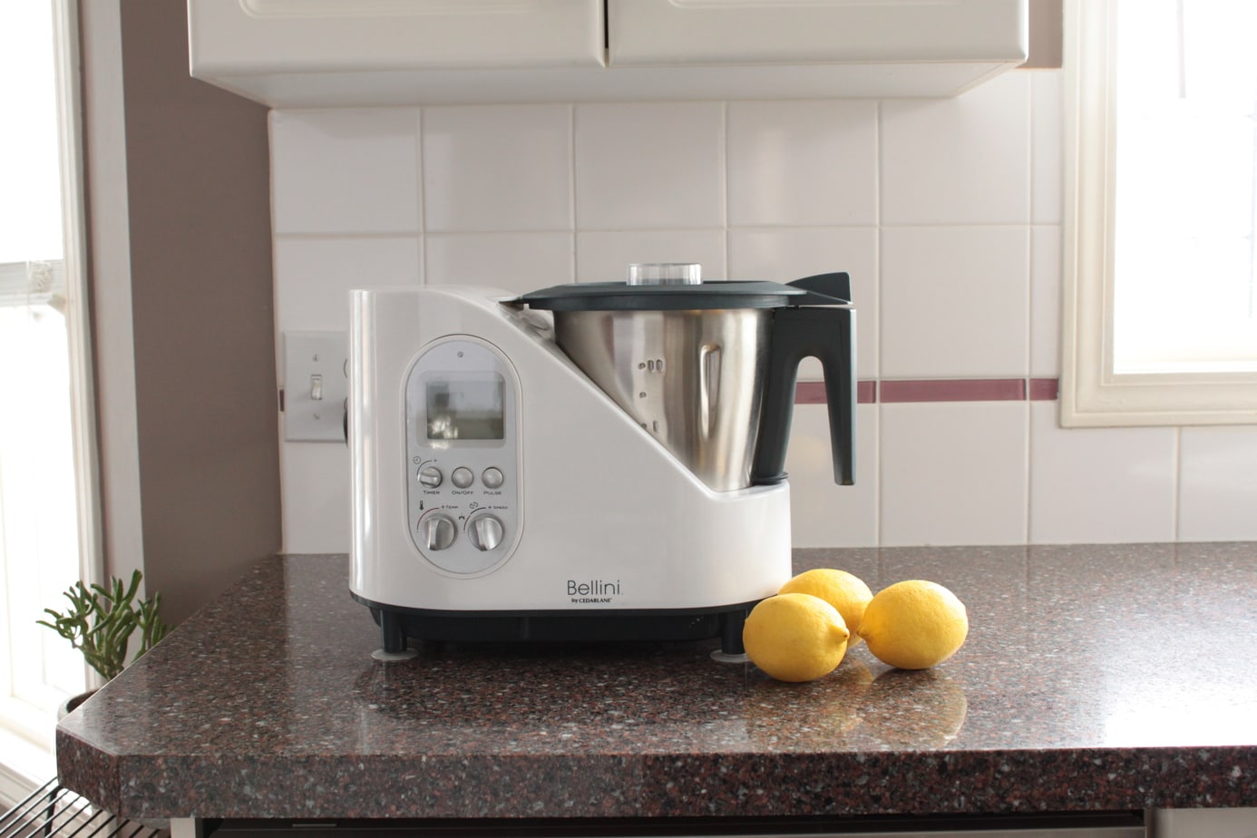 Bellini Kitchen Master Trials And Tribulations Dish N The