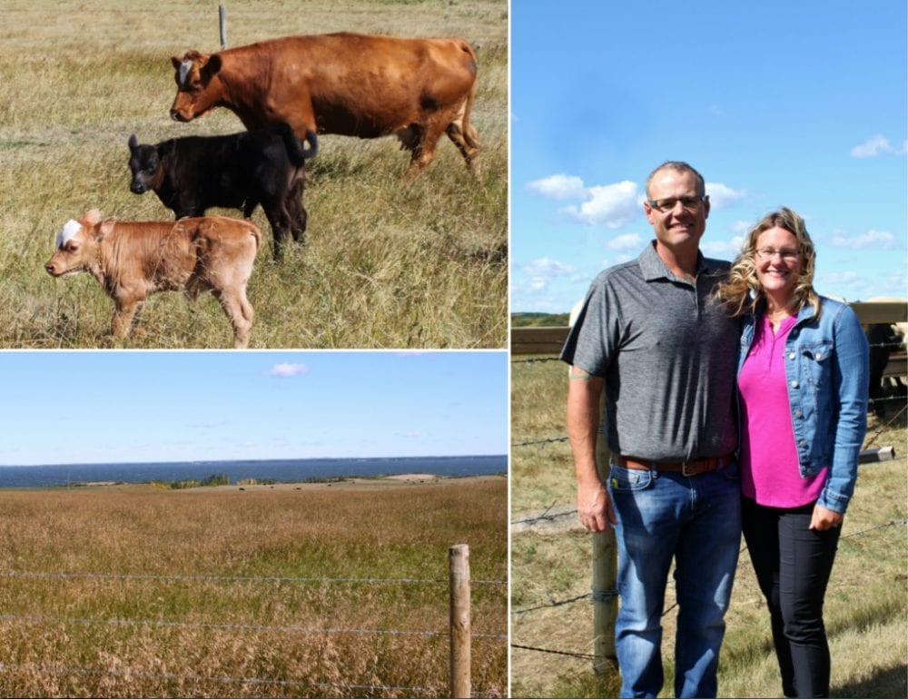 Alberta Open Farm days is a great initiative to get urban (and rural) people to see where their food is grown and to get to know the farmers and producers. Visit Stettler County and learn what this area has to offer #ABFarmDays #OpenFarmDays #DestinationStettler #ExploreStettler